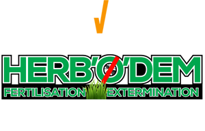 Herbodem inc.